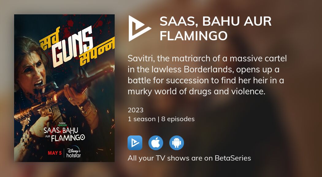 Watch Saas Bahu Aur Flamingo Streaming