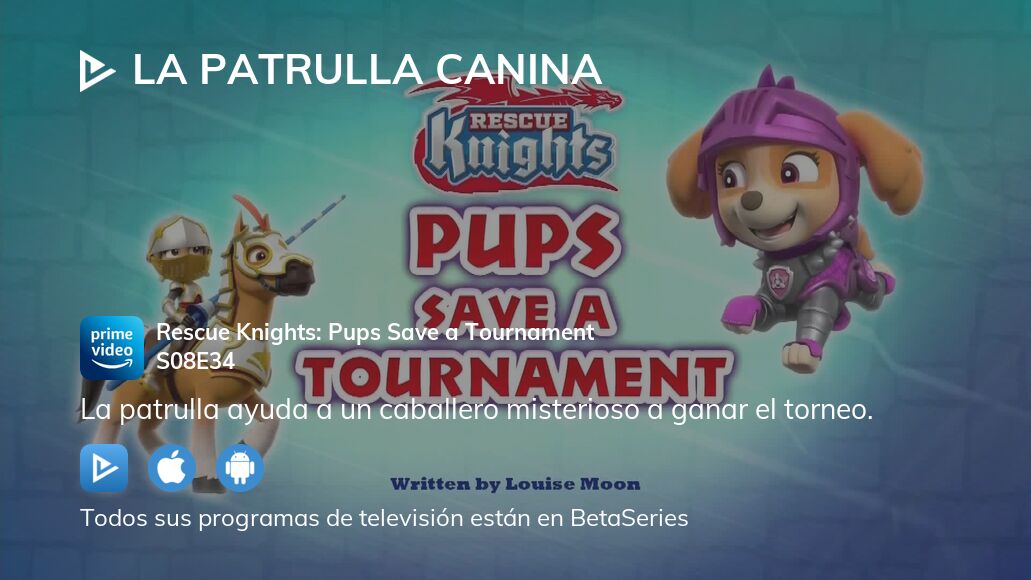 Ver La Patrulla Canina Temporada Episodio En Streaming