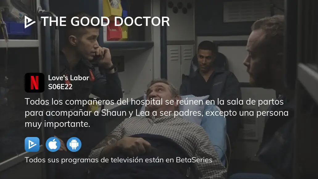 Ver The Good Doctor Temporada 6 Episodio 22 Streaming