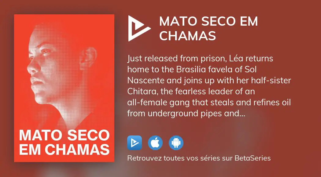 Regarder Mato Seco Em Chamas Streaming