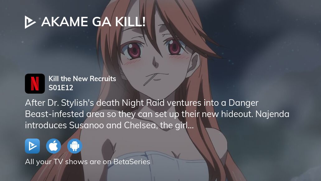 Akame ga Kill! - streaming tv show online