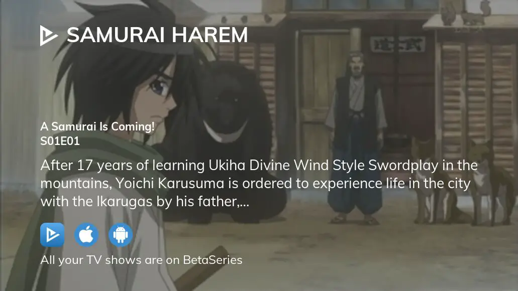 Samurai Harem - streaming tv show online