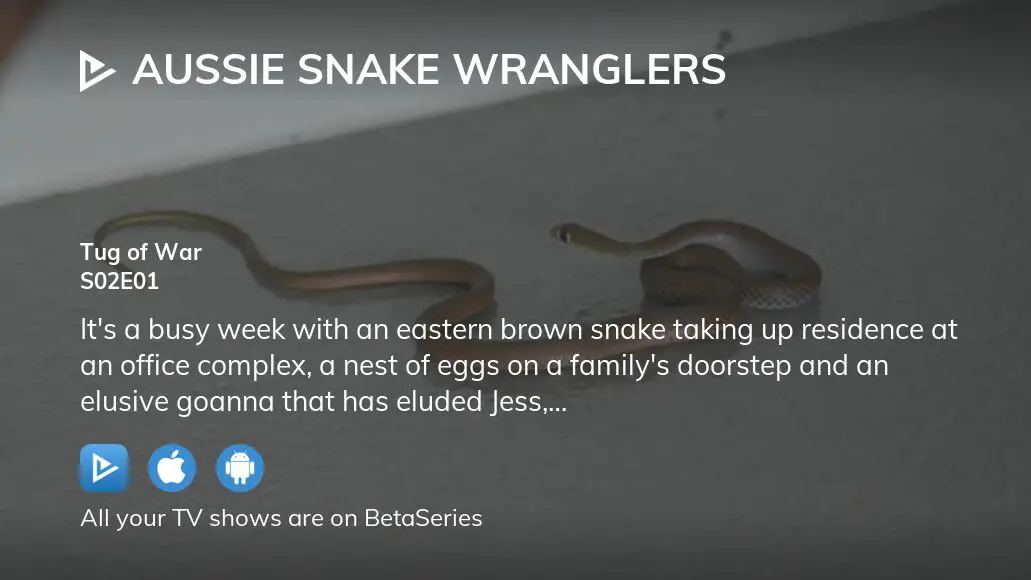 Where To Watch Aussie Snake Wranglers Season 2 Episode 1 Full Streaming ...