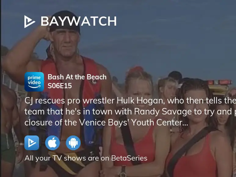 Where To Watch Baywatch Season 6 Episode 15 Full Streaming ...