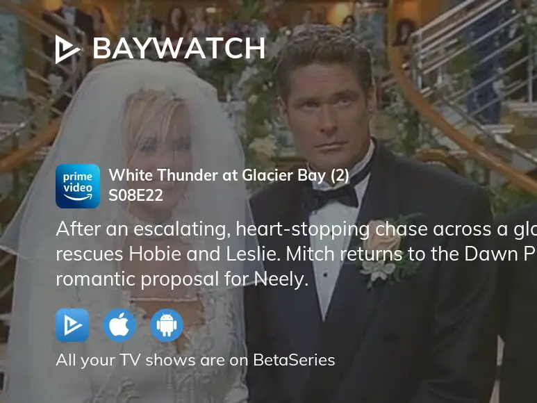 Watch Baywatch season 8 episode 22 streaming online | BetaSeries.com