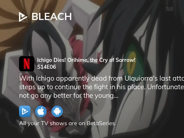 Bleach Ichigo Dies! Orihime, the Cry of Sorrow! (TV Episode 2010