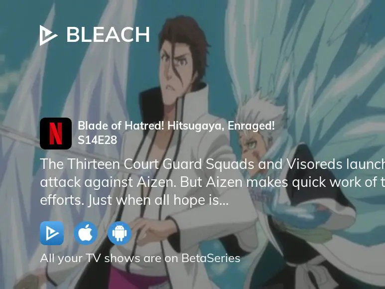 Watch Bleach Season 14 Episode 28 Streaming Online