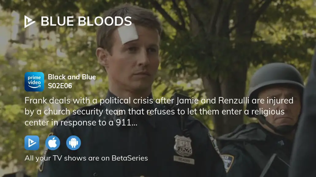 Blue Bloods: Série policial disponível na Paramount+