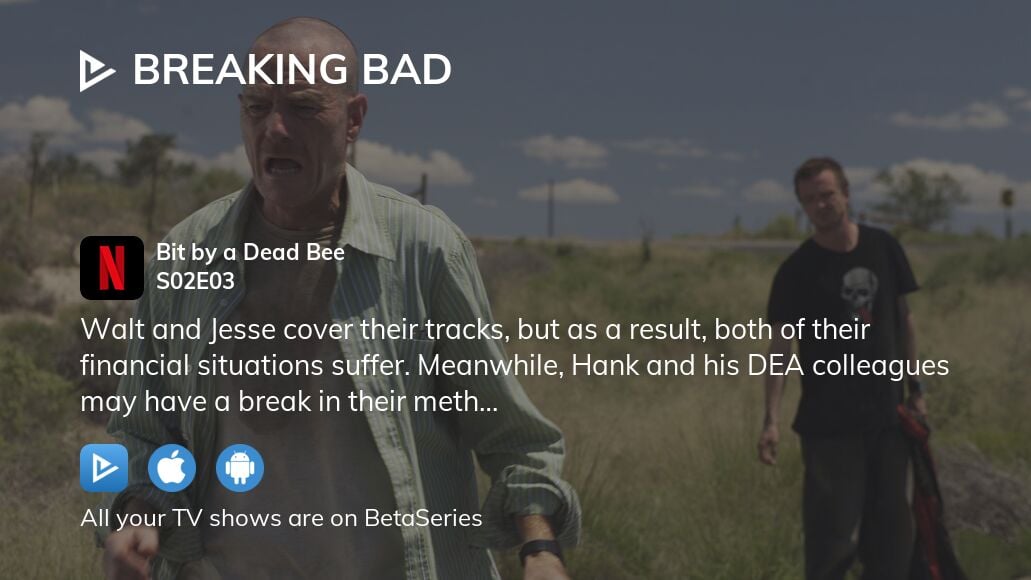Breaking Bad Season 2: Where to Watch & Stream Online