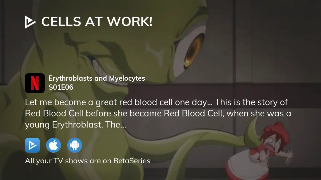 Watch Cells at Work! season 2 episode 6 streaming online