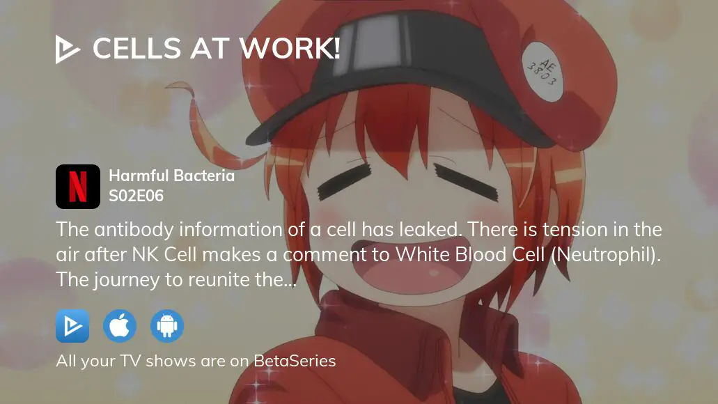 Watch Cells at Work! season 2 episode 6 streaming online