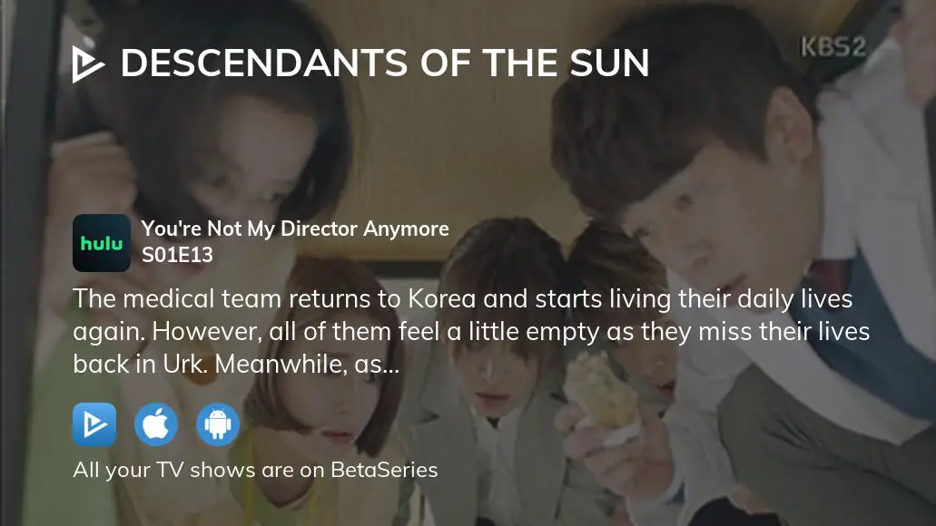 Watch Descendants of the Sun Streaming Online