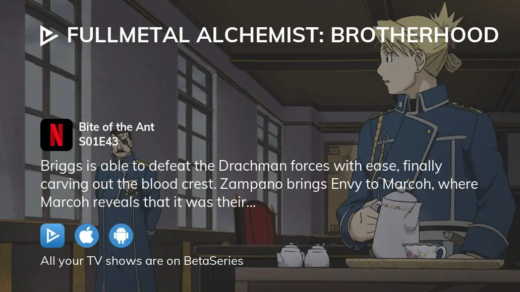 Watch Fullmetal Alchemist: Brotherhood Season 1 Episode 43 - Bite of the  Ant Online Now