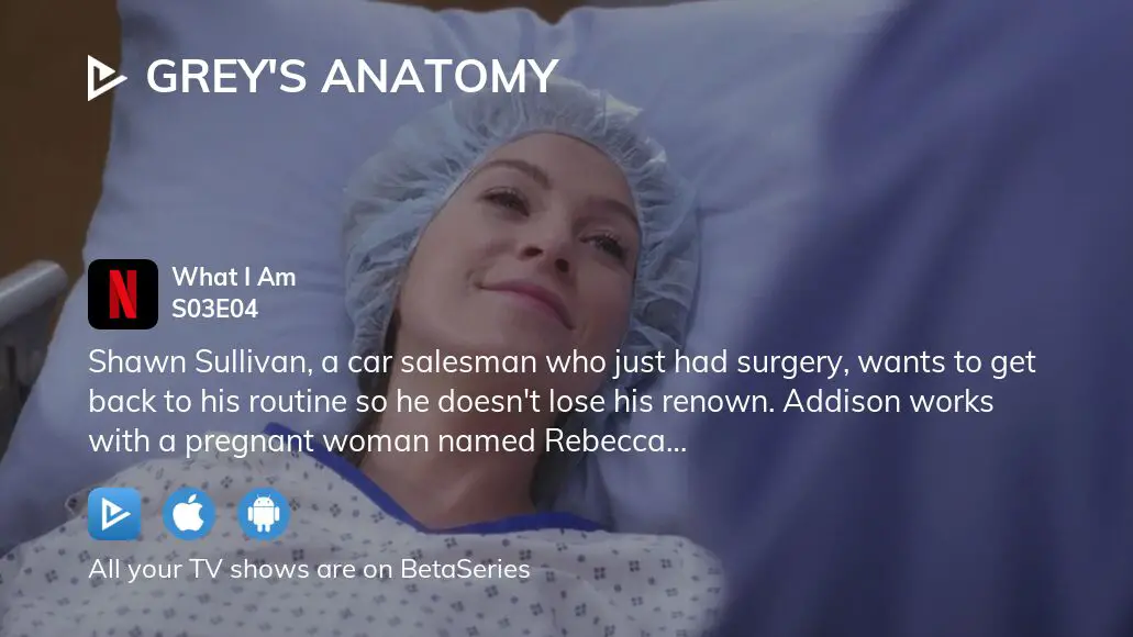 Grey's anatomy season 3 episode sales 4 watch online