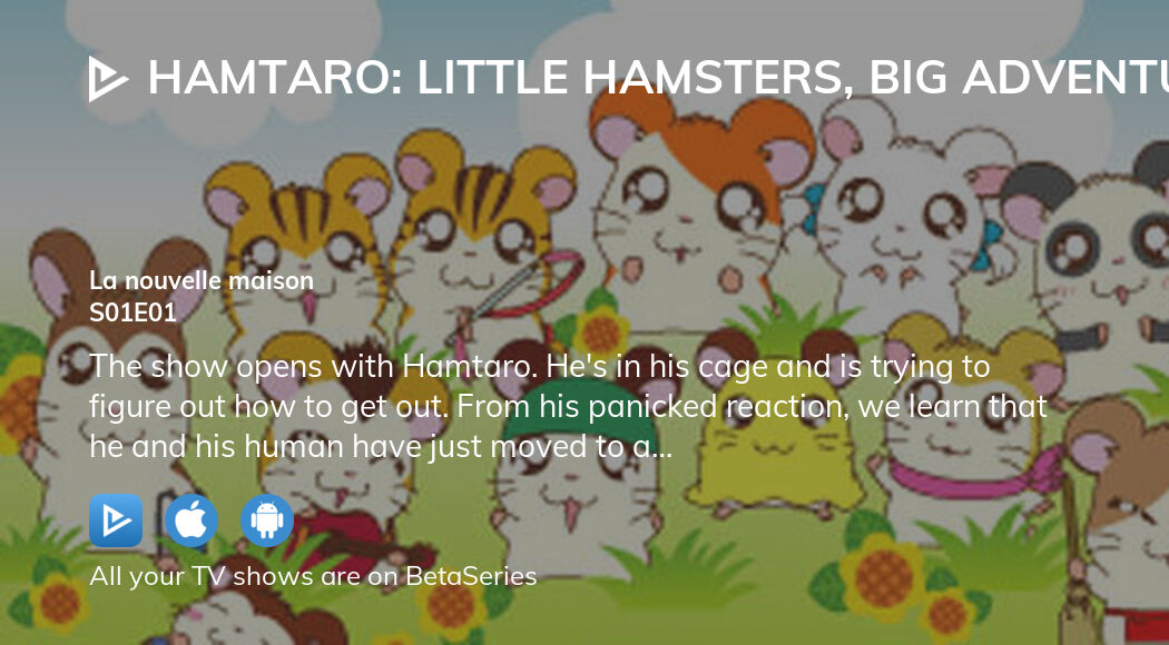 hamtaro human characters