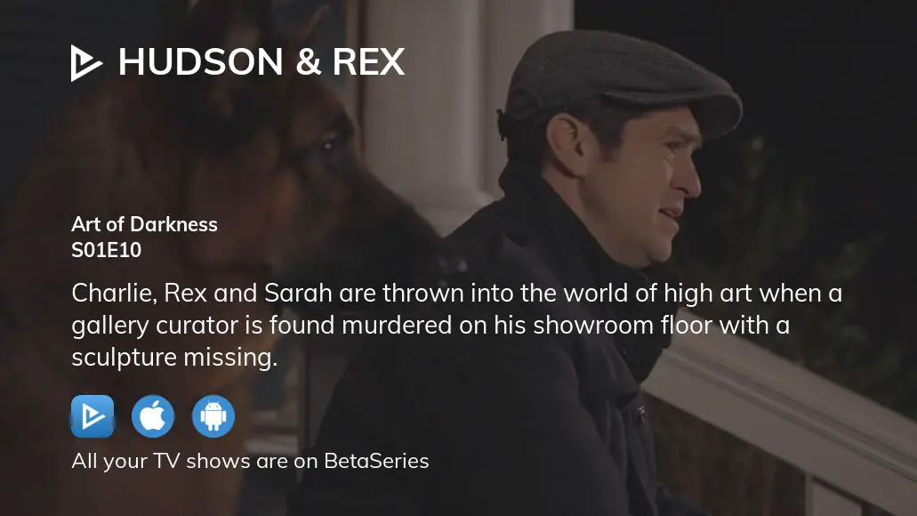 Where to watch Hudson & Rex season 1 episode 10 full streaming ...