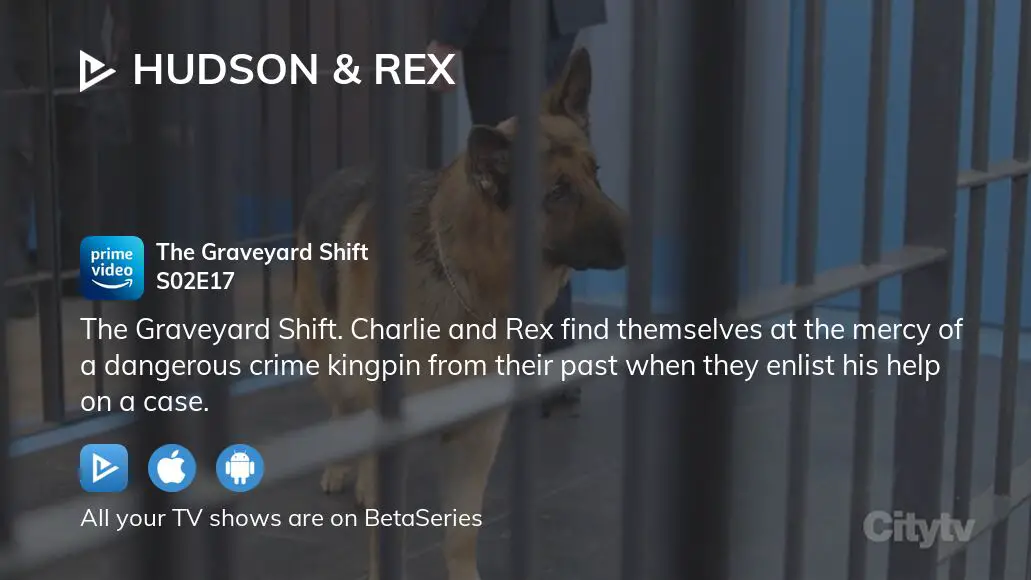 Hudson & Rex - Citytv  Watch Full TV Episodes Online & See TV