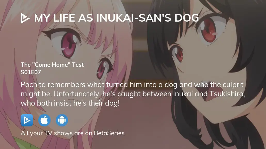 My Life as Inukai-san's Dog. TV Anime Reveals More Details in