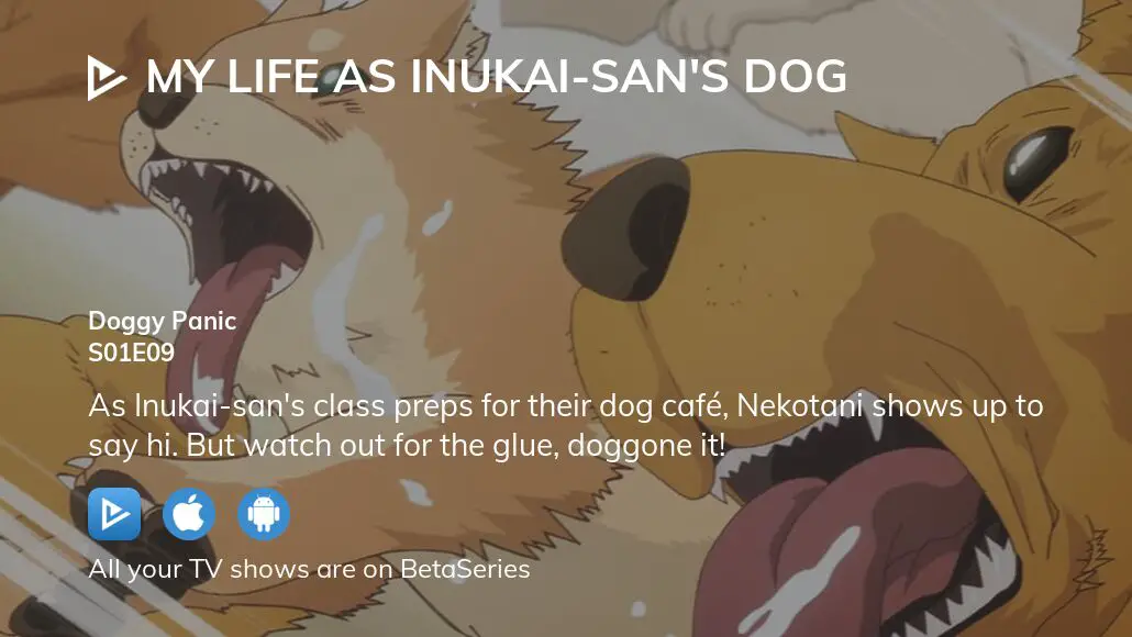 VAMOS ESTUDAR 🤣 (PT-BR 🇧🇷) My Life as Inukai-san's Dog 