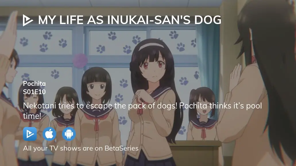 My Life as Inukai-san's Dog. TV Anime Reveals More Details in