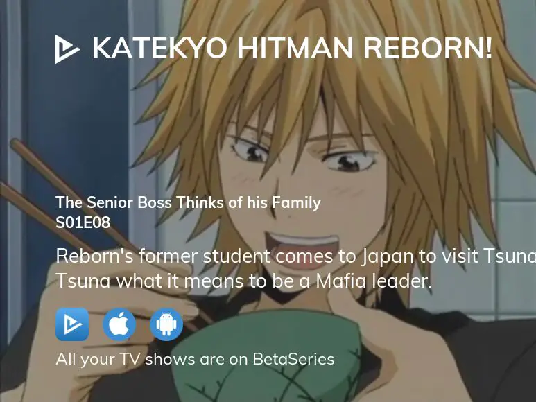 Watch Katekyo Hitman Reborn! season 8 episode 12 streaming online