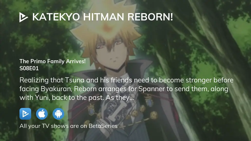 Watch Katekyo Hitman Reborn! season 8 episode 12 streaming online