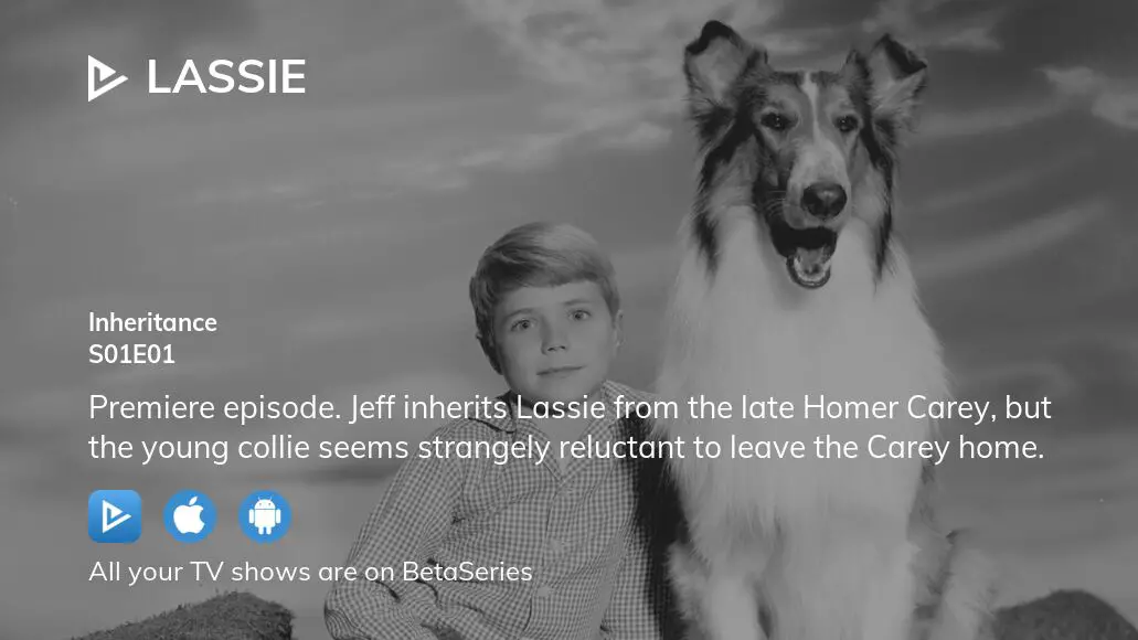 Watch Lassie Season 1 Episode 1 Streaming Online 