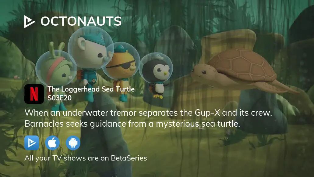 Watch Octonauts Season 3 Episode 20 Streaming Online | BetaSeries.com