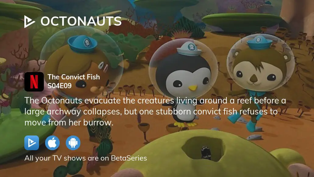 Where To Watch Octonauts Season 4 Episode 9 Full Streaming ...