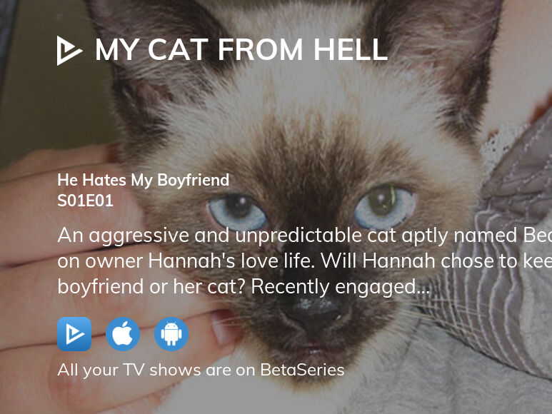 My cat from online hell putlocker