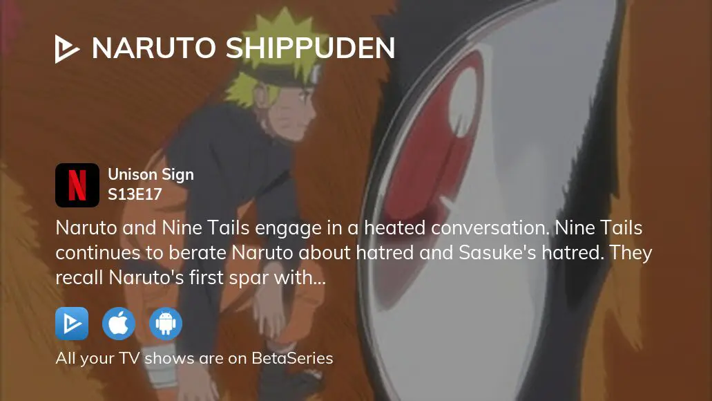 Ver Naruto Shippuden temporada 13 episodio 17 en streaming