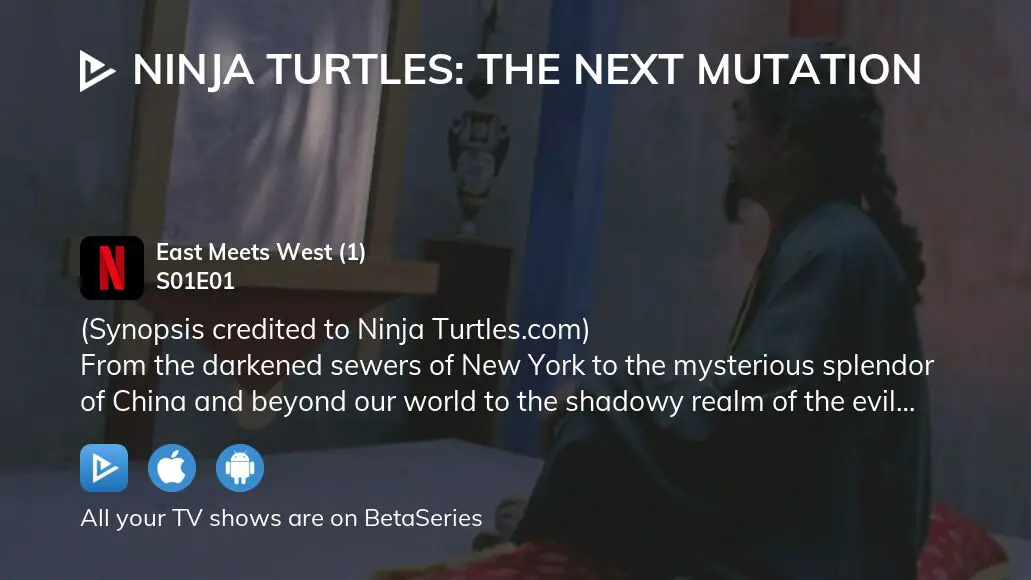 Where To Watch Ninja Turtles The Next Mutation Season 1 Episode 1 Full Streaming 1059