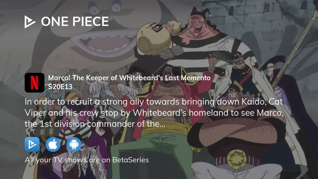 This coming Sunday, One Piece Episode - The Will of Marco