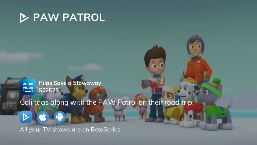 La Pat' Patrouille : Mighty Pups, la Super Patrouille – Super Chase - video  Dailymotion