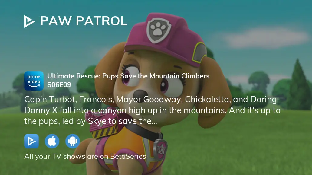 Everest Rescues Skye on the Mountain! 🗻, PAW Patrol Rescue Episode