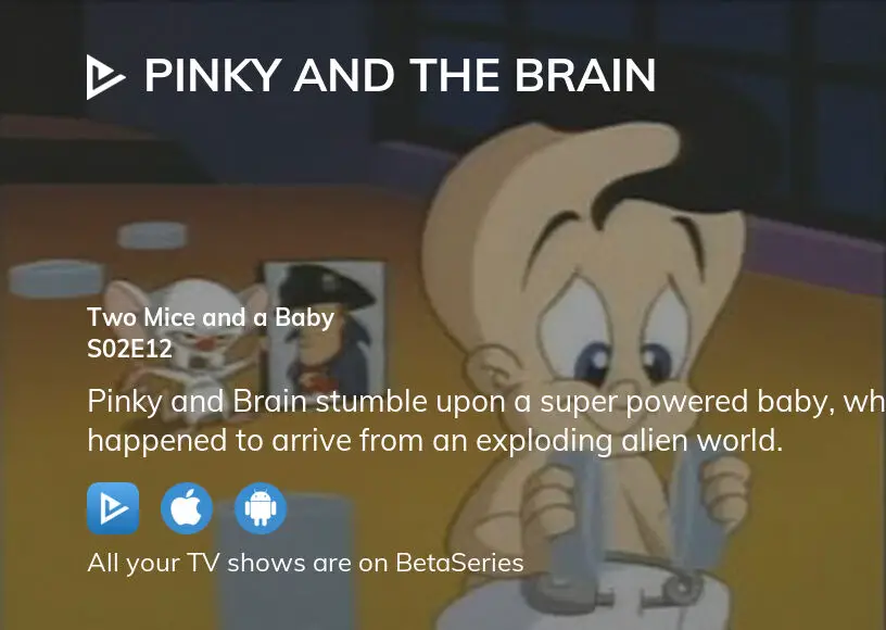 Pinky And The Brain - S2E12 E13 - Two Mice and a Baby, The Maze