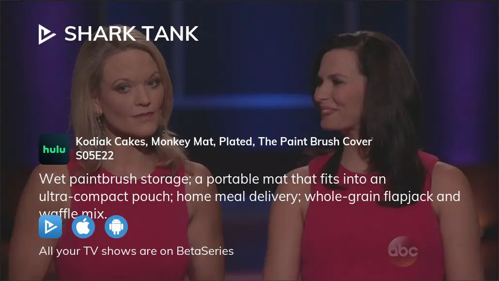 The Paint Brush Cover Update: Shark Tank Season 5, Episode 22