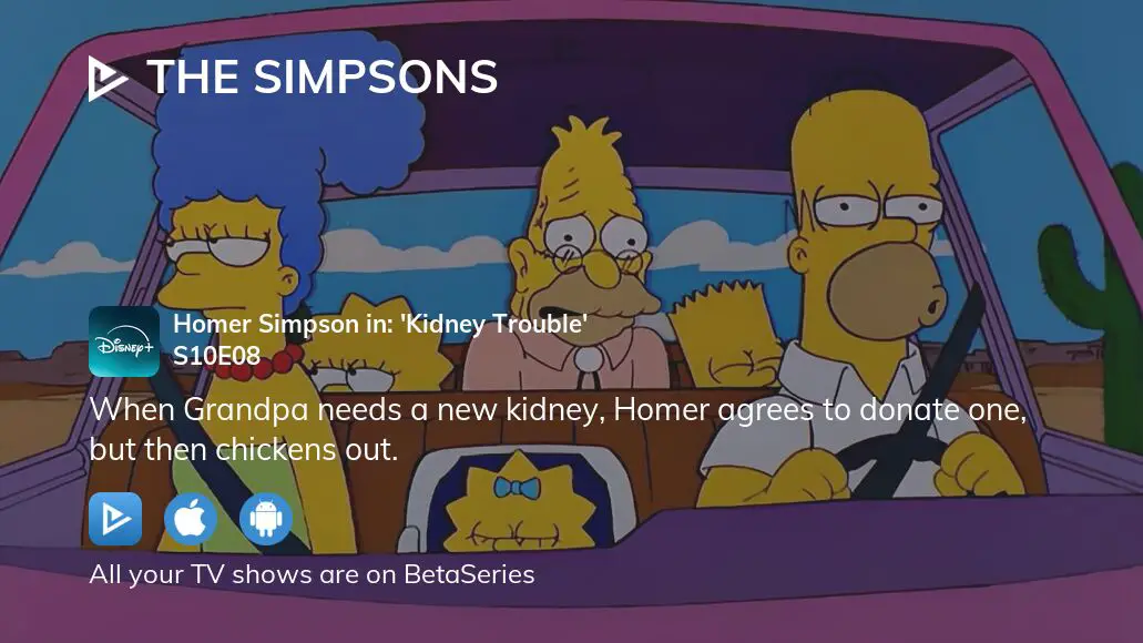 Video : Watch The Simpsons season 10 episode 8 in full streaming ...