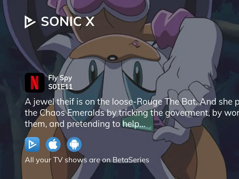 Watch Sonic X Season 1 Episode 11 - Fly Spy Online Now