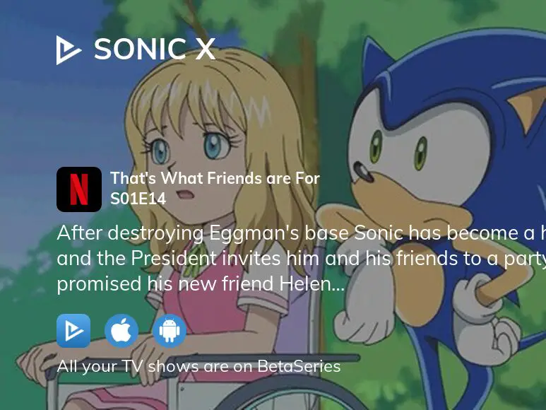 Watch Sonic X Season 1 Episode 11 - Fly Spy Online Now