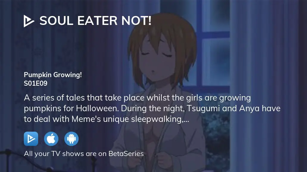 Soul Eater Not! - streaming tv show online