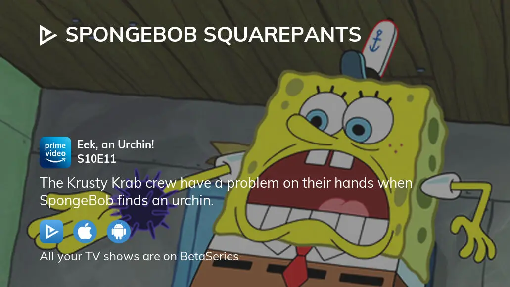 Where To Watch SpongeBob SquarePants Season 10 Episode 11 Full ...