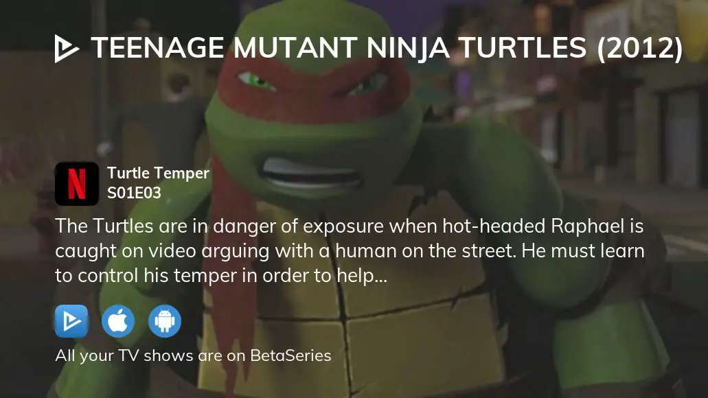 Teenage Mutant Ninja Turtles Turtle Temper (TV Episode 2012) - IMDb