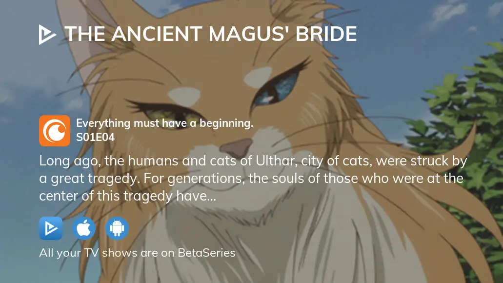 The Ancient Magus' Bride Episode 4 – Everything must have a beginning