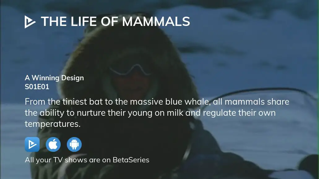 Watch The Life of Mammals season 1 episode 1 streaming online