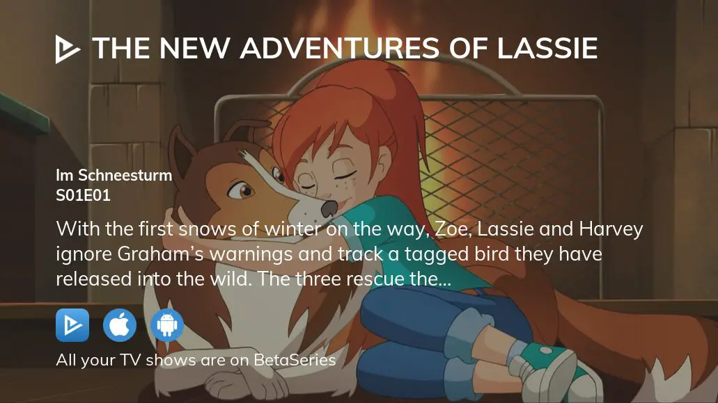 Watch The New Adventures Of Lassie Season 1 Episode 1 Streaming Online