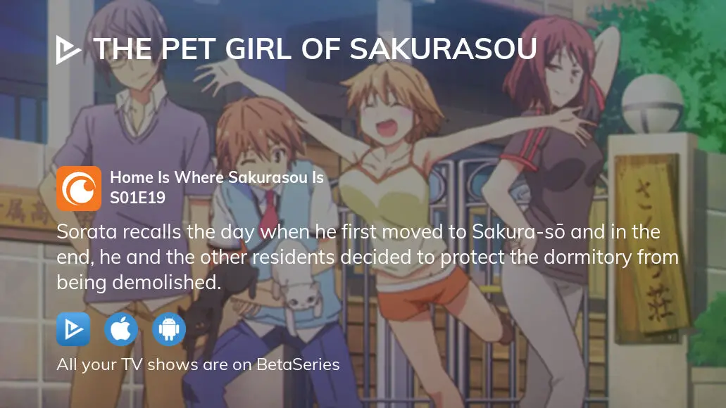 The Pet Girl of Sakurasou em português brasileiro - Crunchyroll