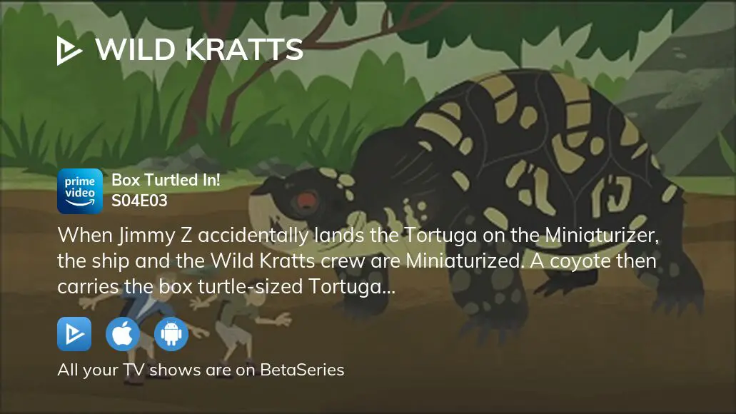 Wild kratts box store turtled in full episode