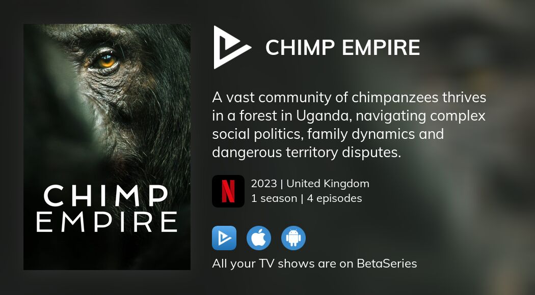 Where to watch Chimp Empire TV series streaming online? | BetaSeries.com