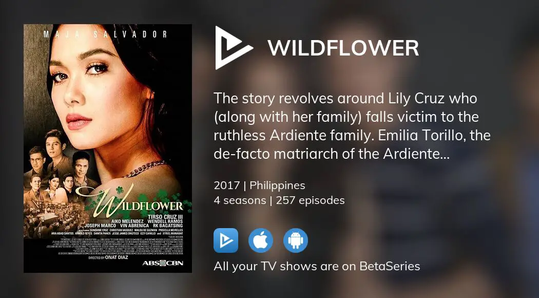 Where to watch Wildflower TV series streaming online?